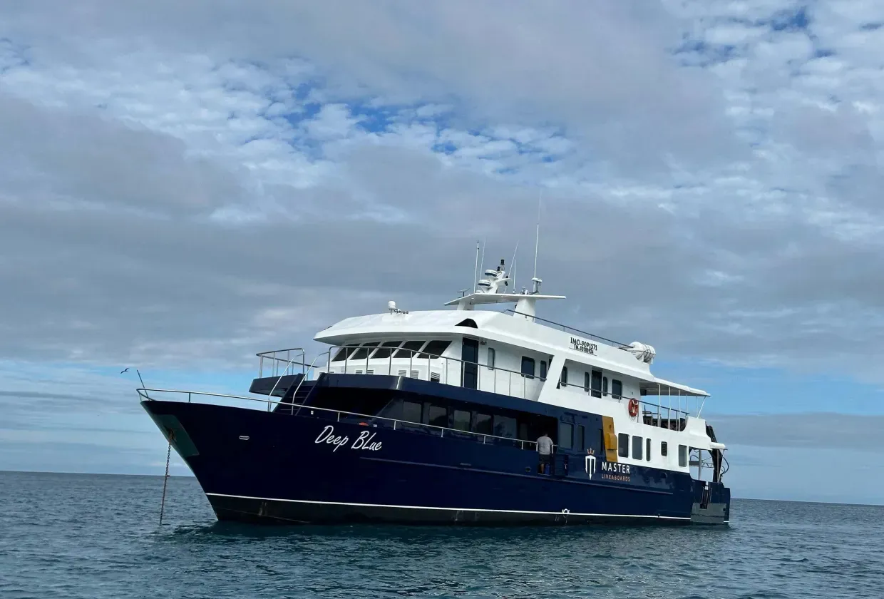 Galapagos Master — лайвборд для дайвинг-сафари на Галапагосы