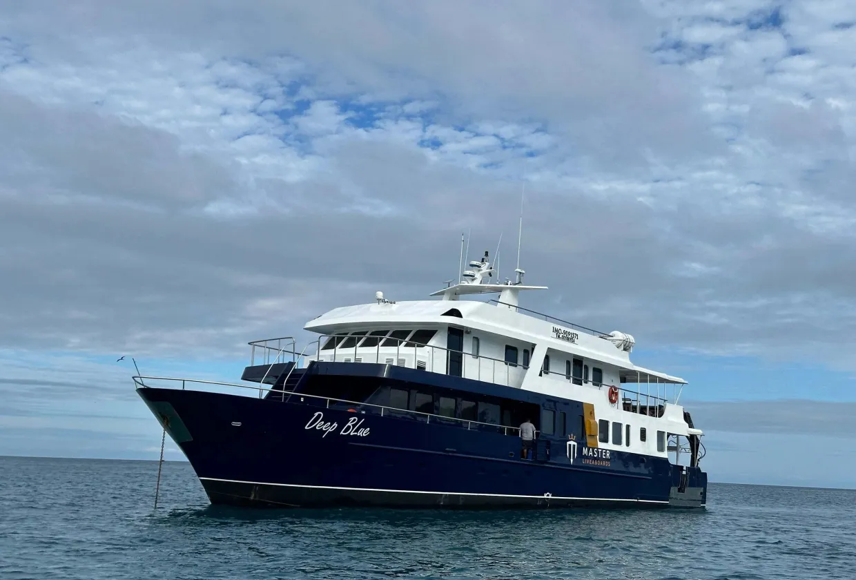 Galapagos Master — лайвборд для дайвинг-сафари на Галапагосы