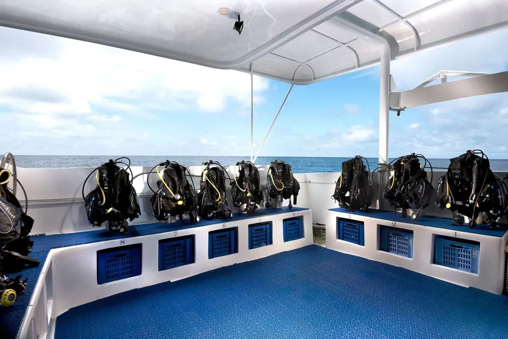 Dive deck of Galapagos Master with personal gear stations