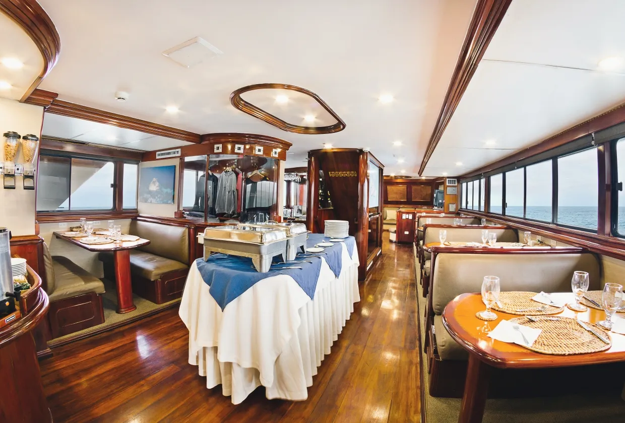 Galapagos Sky — фото 10, дайвинг Галапагосы