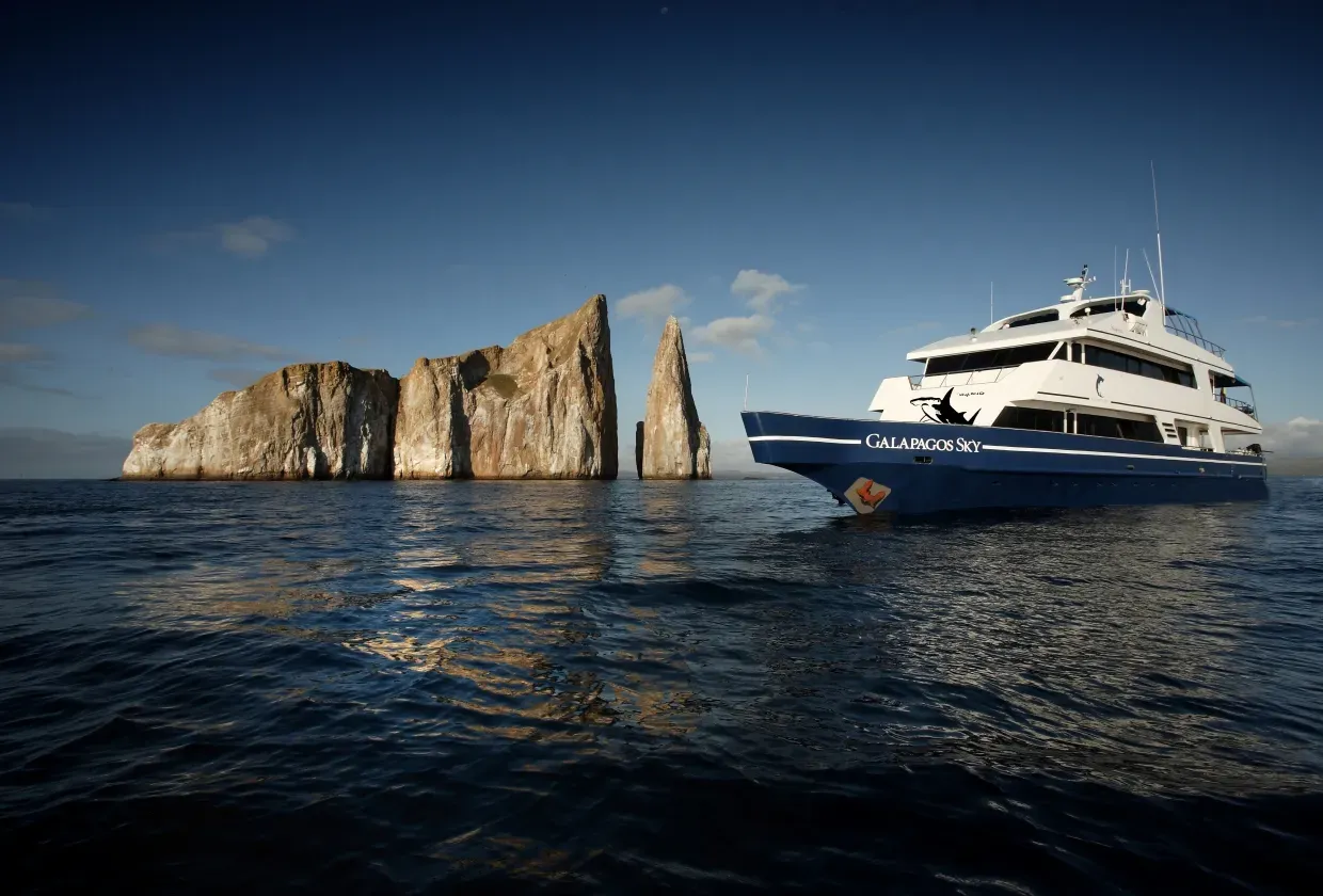 Galapagos Sky — фото 2, дайвинг Галапагосы
