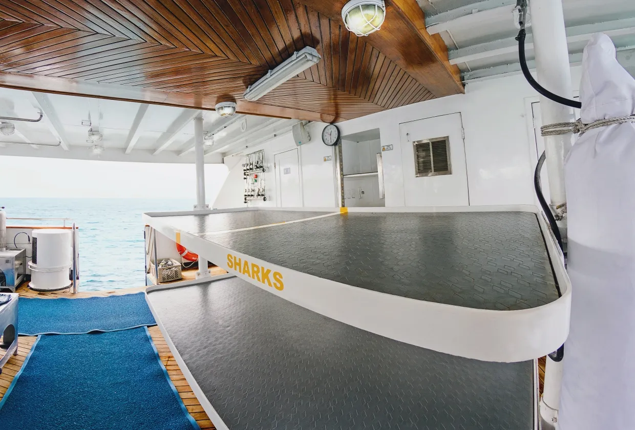 Tank racks on the dive deck of Galapagos Sky