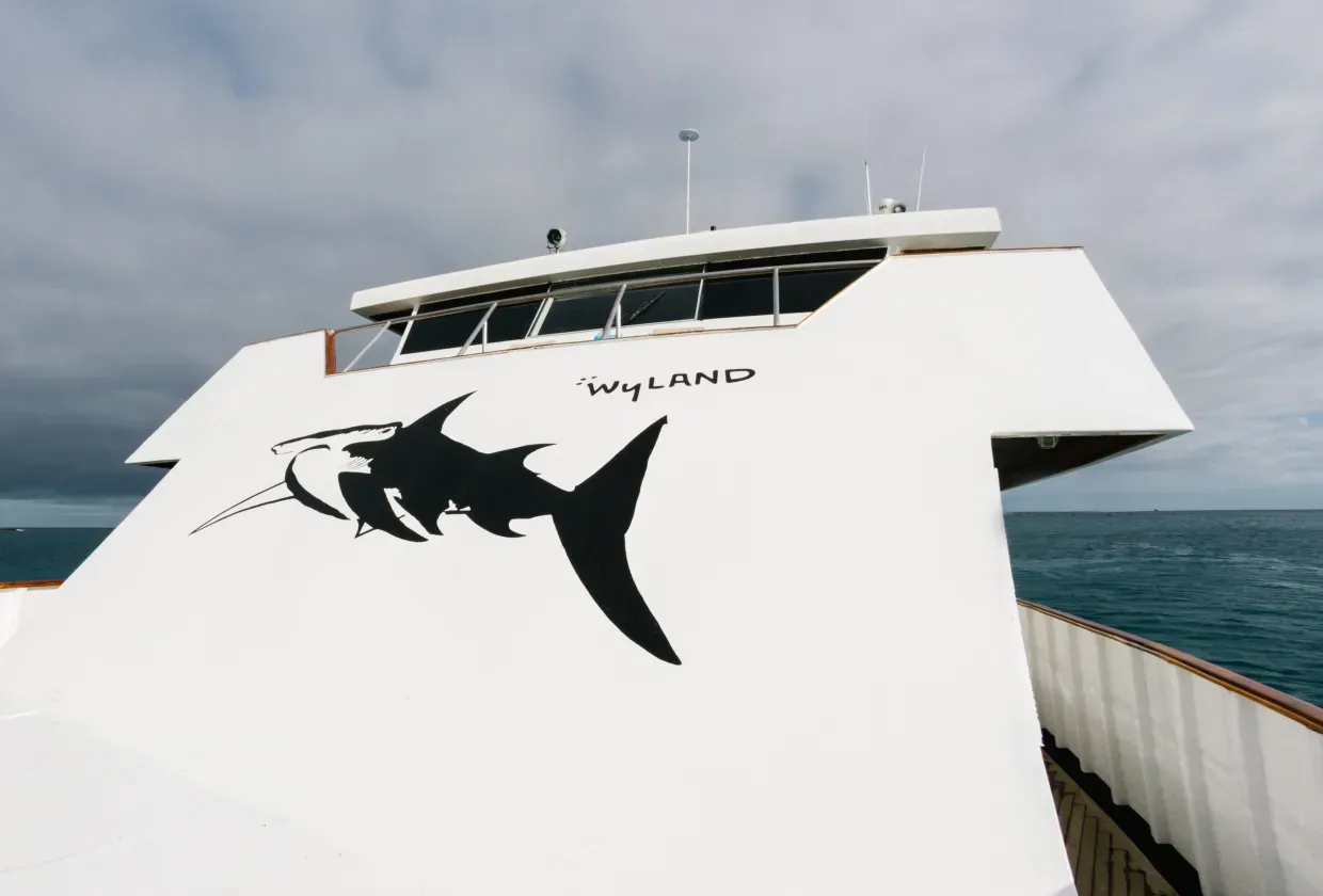 Galapagos Sky — фото 4, дайвинг Галапагосы
