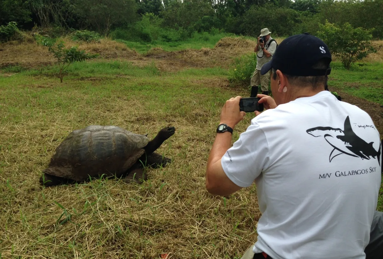 Photographing a giant tortoise during a land visit
