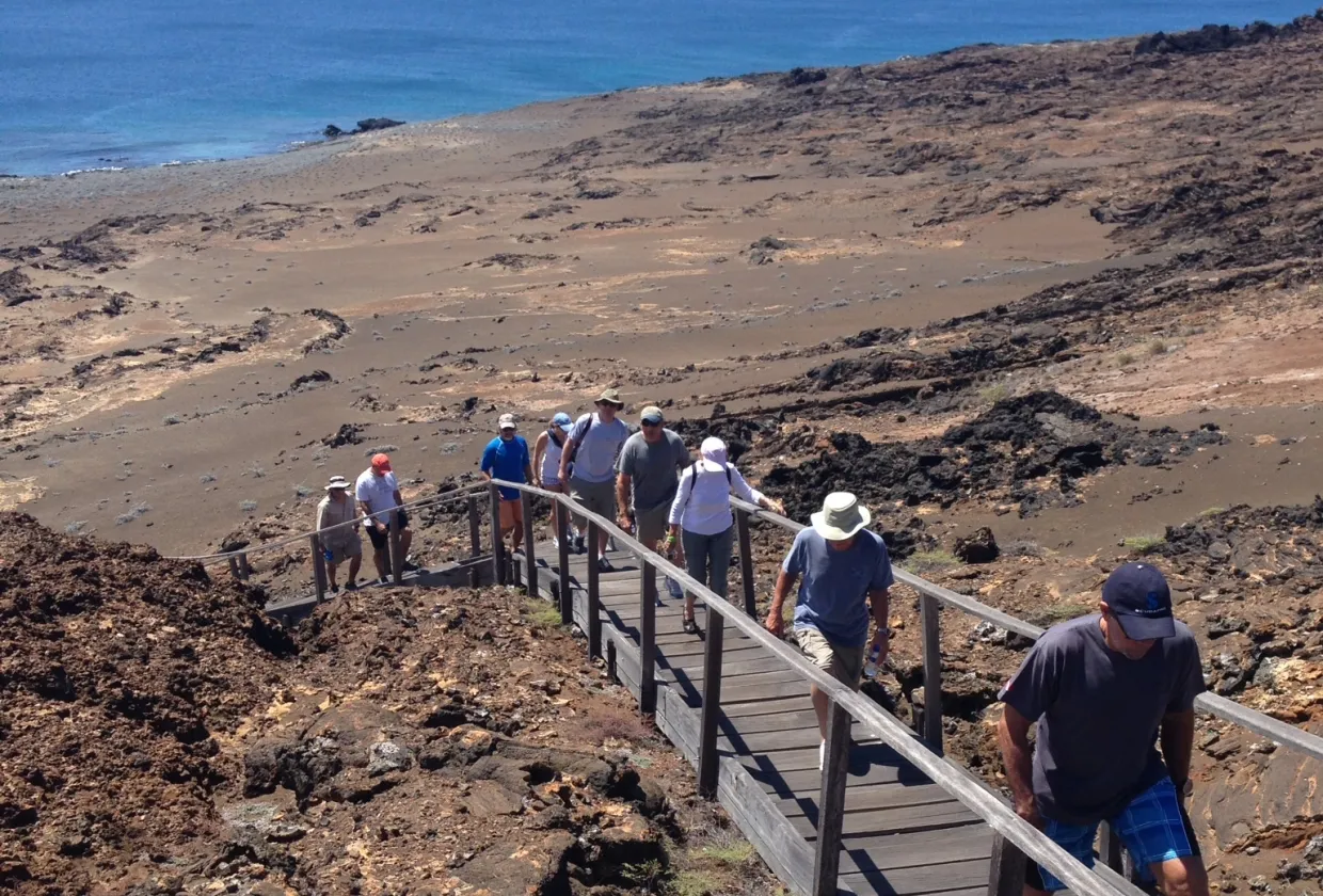 Island trail during a land visit