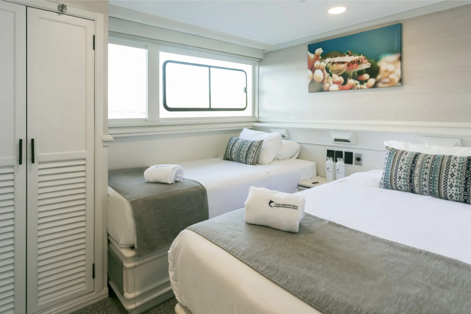 Bright cabin on Galapagos Sky with two single beds