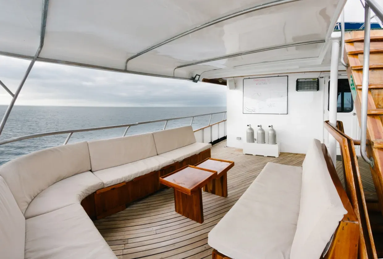 Galapagos Sky — фото 7, дайвинг Галапагосы