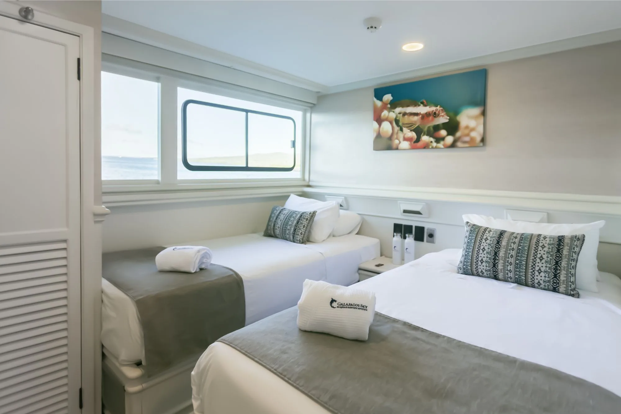 Master Stateroom on Galapagos Sky — two single beds and a picture window