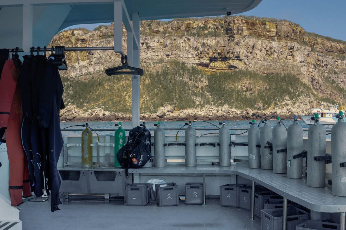 Galaxy Diver II — фото 14, дайвинг Галапагосы