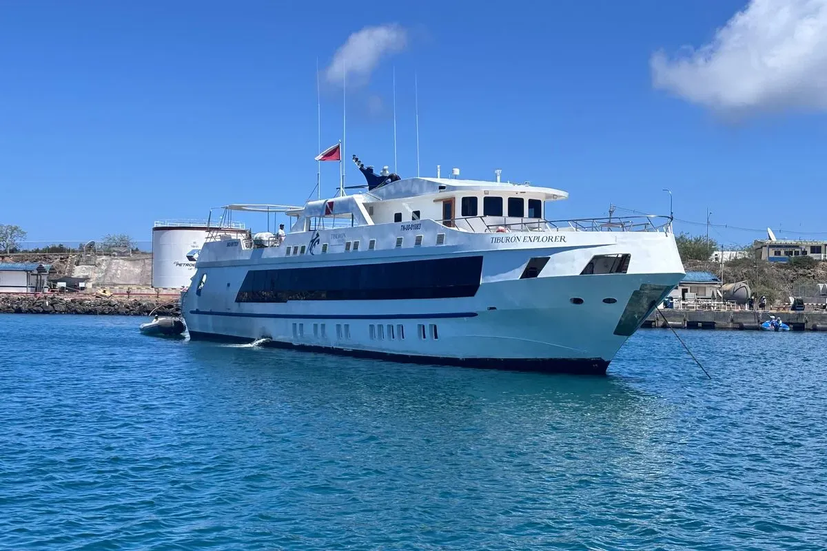 Galaxy Diver II — фото 4, дайвинг Галапагосы