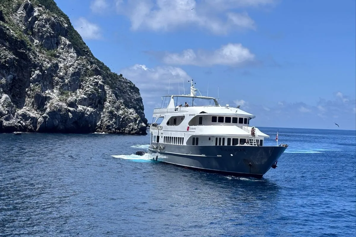 Galaxy Diver II — фото 7, дайвинг Галапагосы