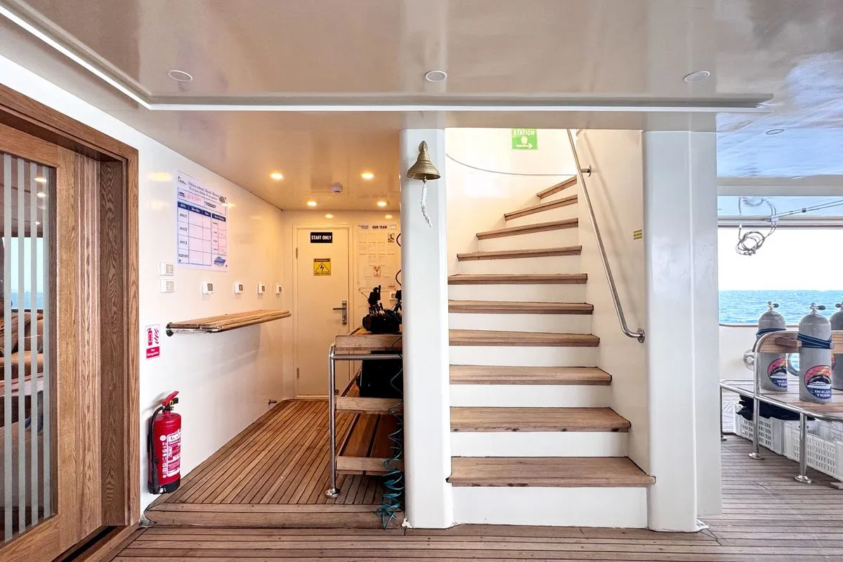 Ghazala Adventure — фото 13, дайвинг Египет