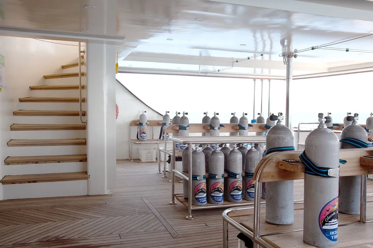 Ghazala Adventure — фото 14, дайвинг Египет