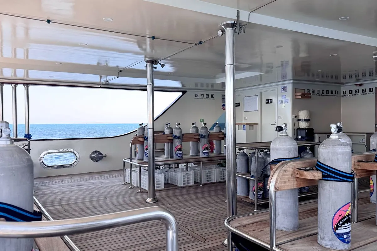 Ghazala Adventure — фото 15, дайвинг Египет