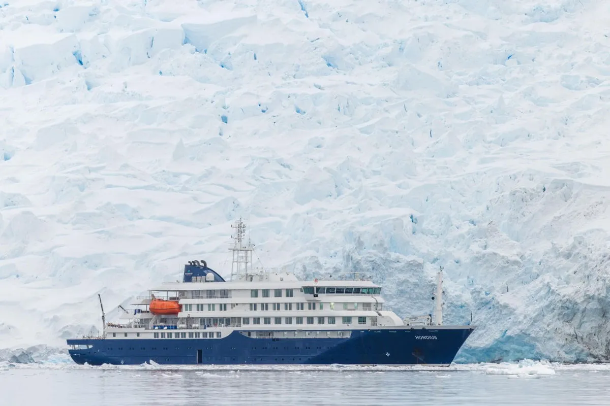 Hondius Antarctica Diving — фото 8, дайвинг Антарктика