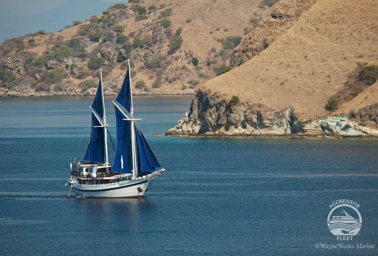 Indo Aggressor — лайвборд для дайвинг-сафари на Индонезия