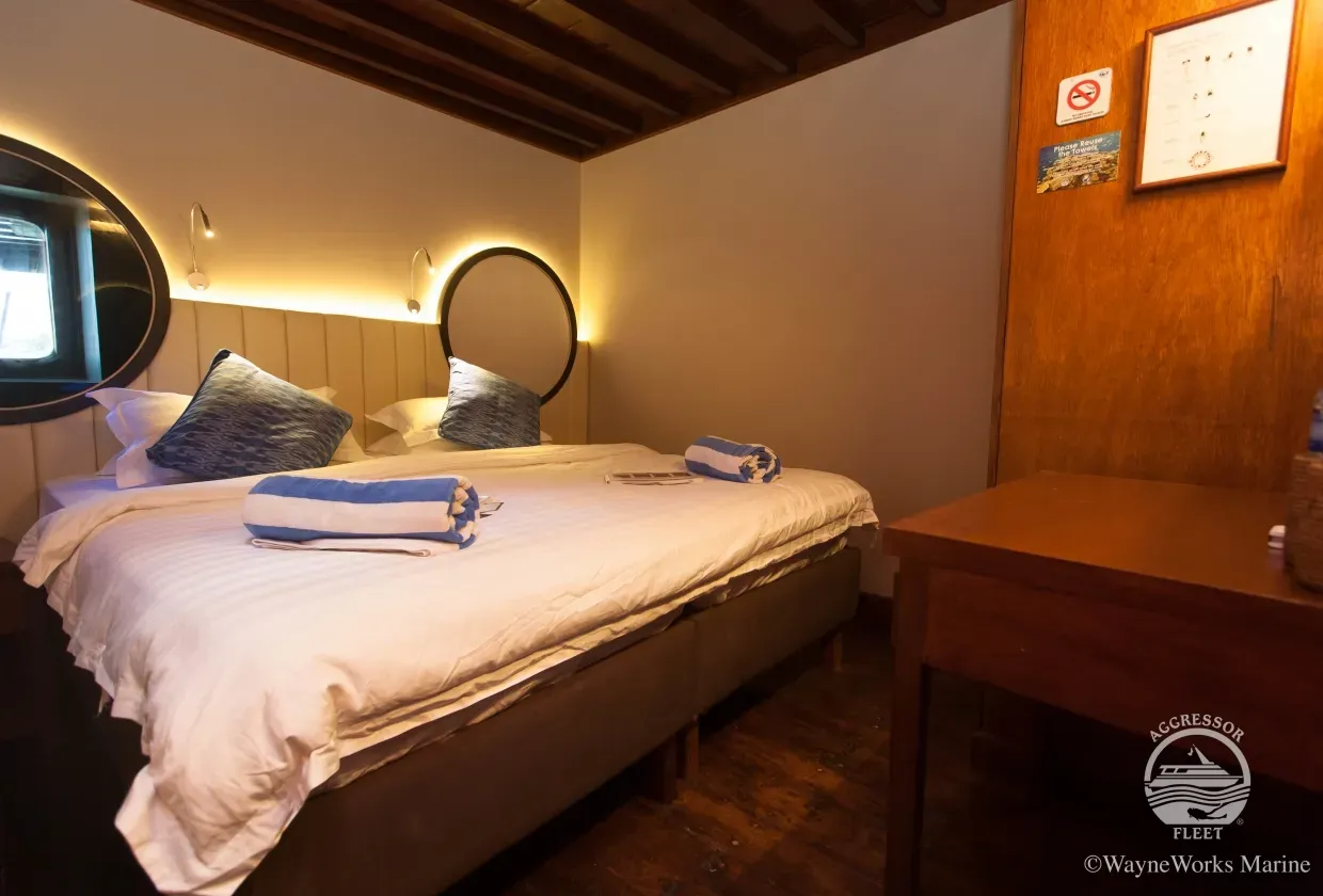 Indo Aggressor — фото 2, дайвинг Индонезия