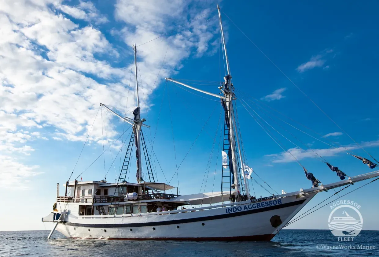Indo Aggressor — фото 4, дайвинг Индонезия