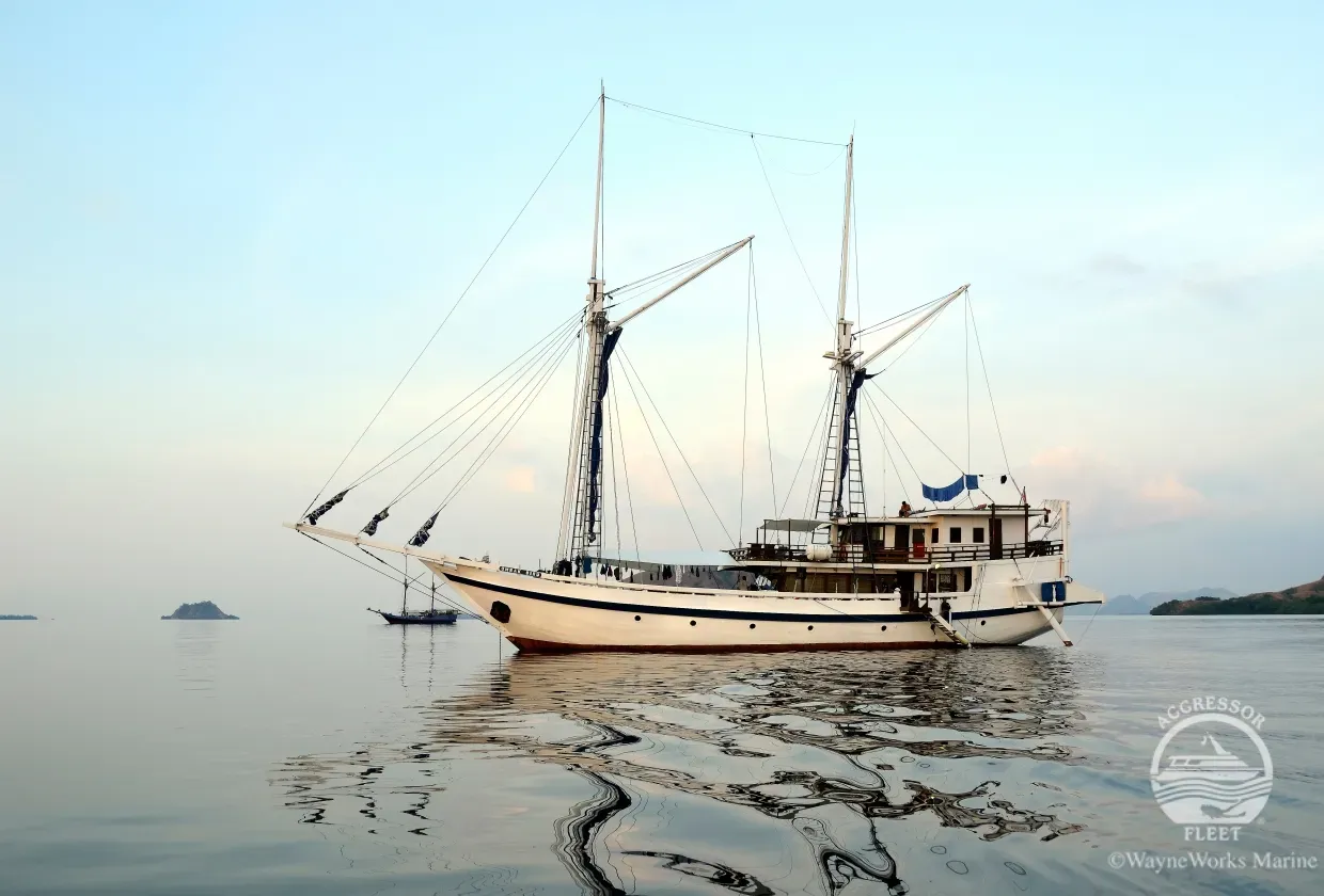 Indo Aggressor — фото 6, дайвинг Индонезия