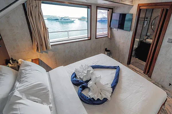 Яхта Infinity X. Каюта Deluxe Ocean View Suite