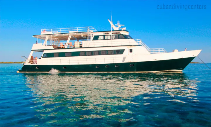 Deluxe King Cabin — фото каюты