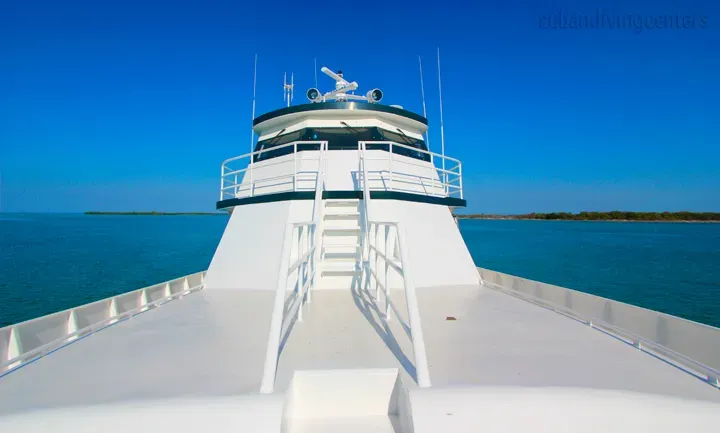 Deluxe King Cabin — фото каюты