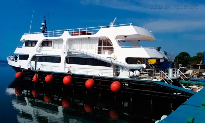 Jardines Avalon F II