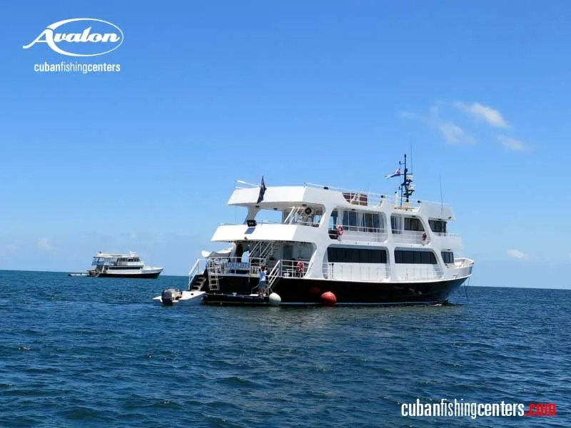 Jardines Avalon F II