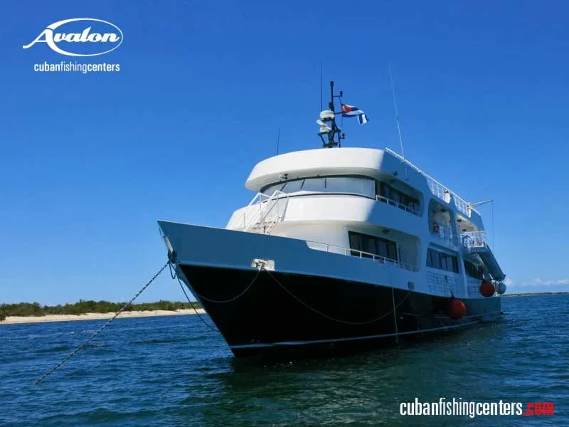 Jardines Avalon F II