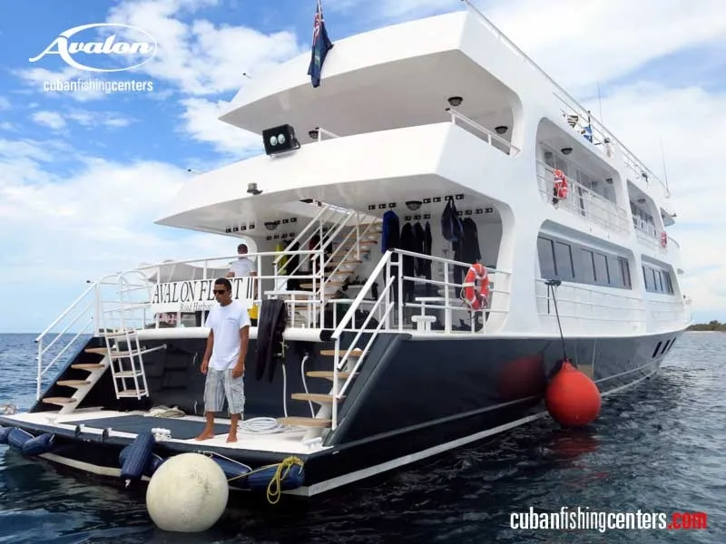 Jardines Avalon F II