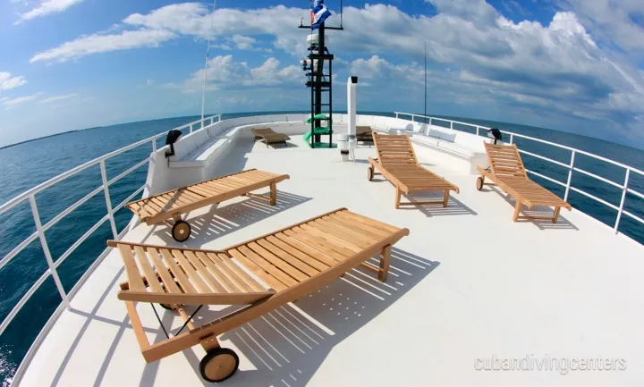 Jardines Avalon F II