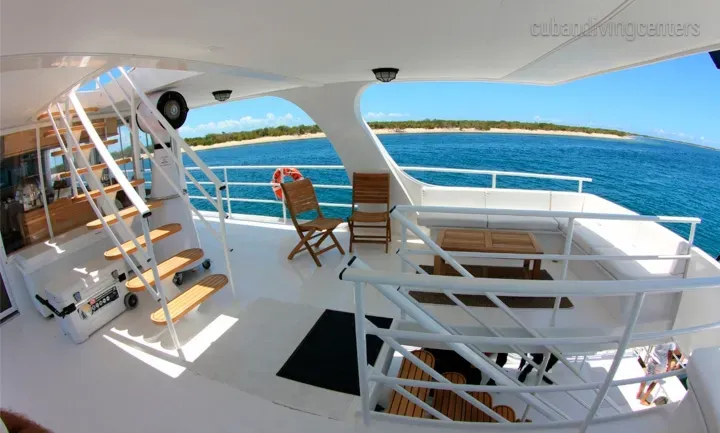 Jardines Avalon F II