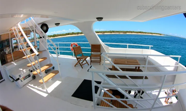 Jardines Avalon F II