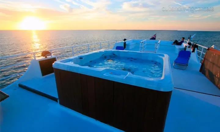 Jardines Avalon F II