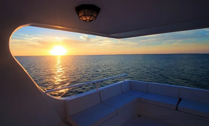 Jardines Avalon F II