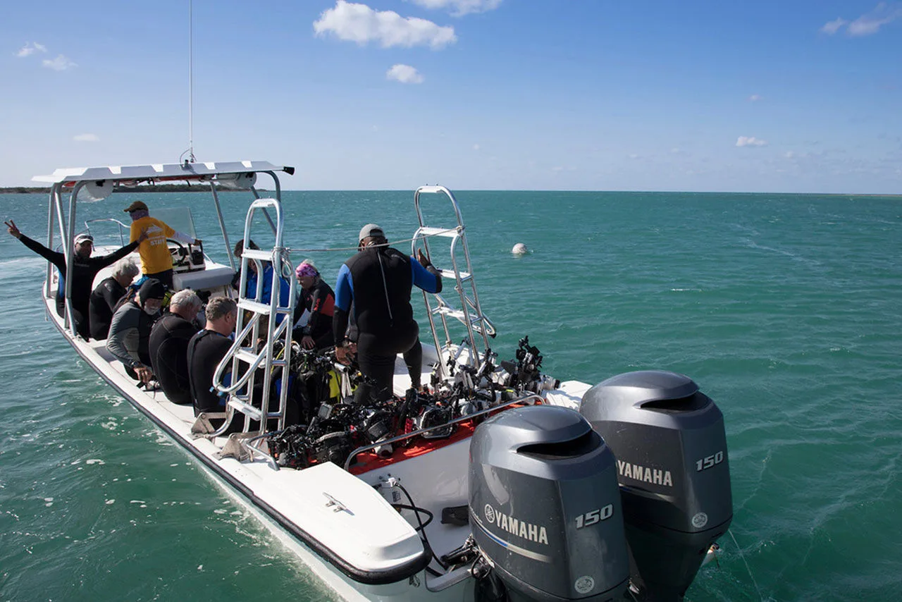 Divers heading out to the reef aboard a fast tender