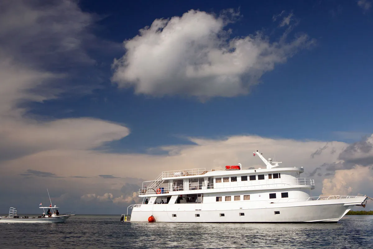 Jardines Avalon Fleet — фото 7, дайвинг Куба