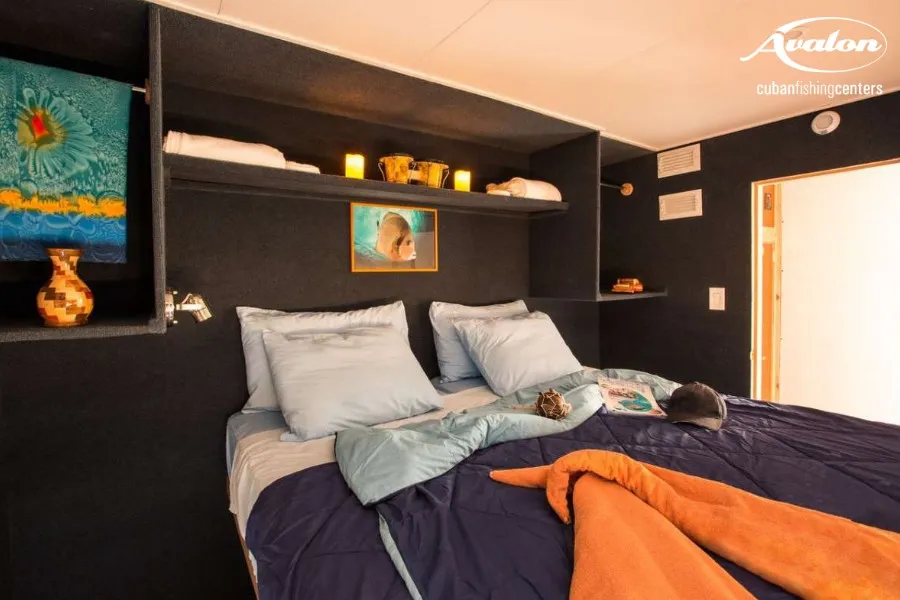 Jardines Avalon I/Jardines Aggressor I