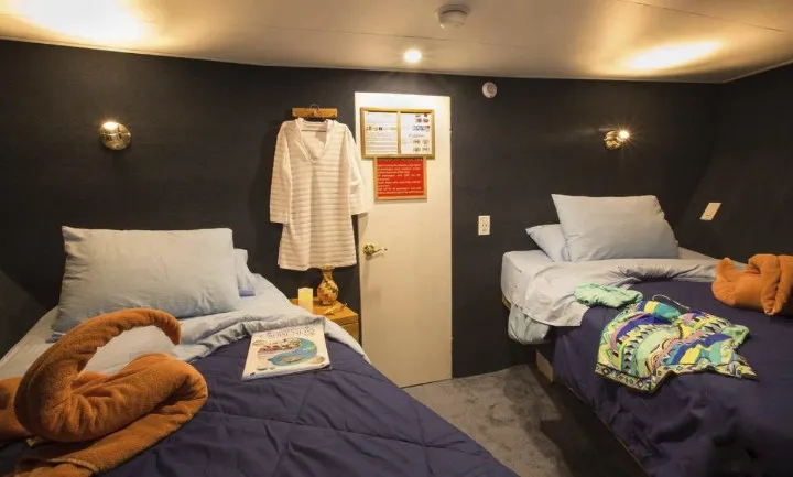 Jardines Avalon I/Jardines Aggressor I