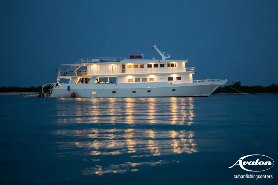 Jardines Avalon I/Jardines Aggressor I