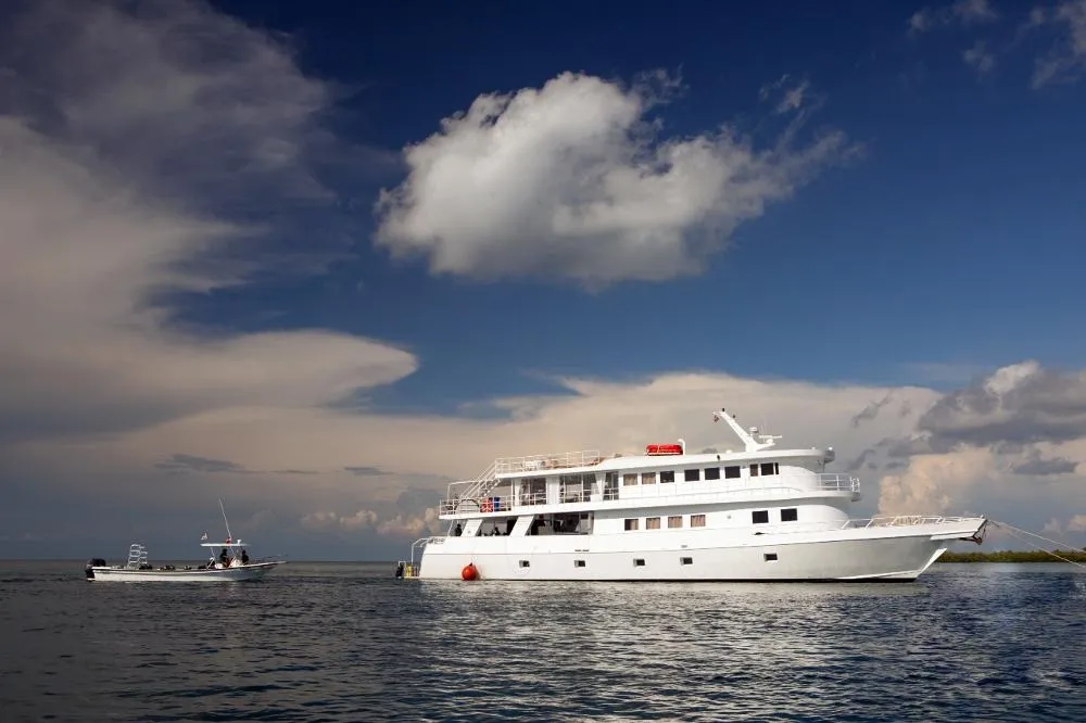 Jardines Avalon I/Jardines Aggressor I