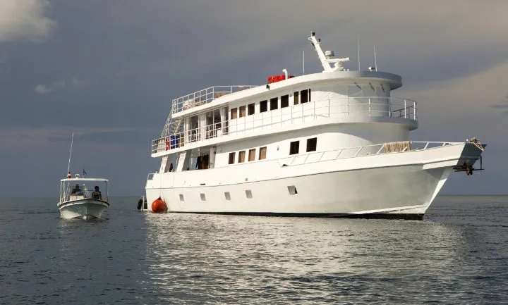 Jardines Avalon I/Jardines Aggressor I