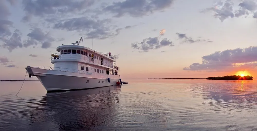 Jardines Avalon I/Jardines Aggressor I