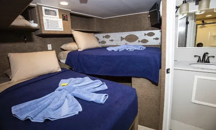 Jardines Avalon II/Jardines Aggressor II