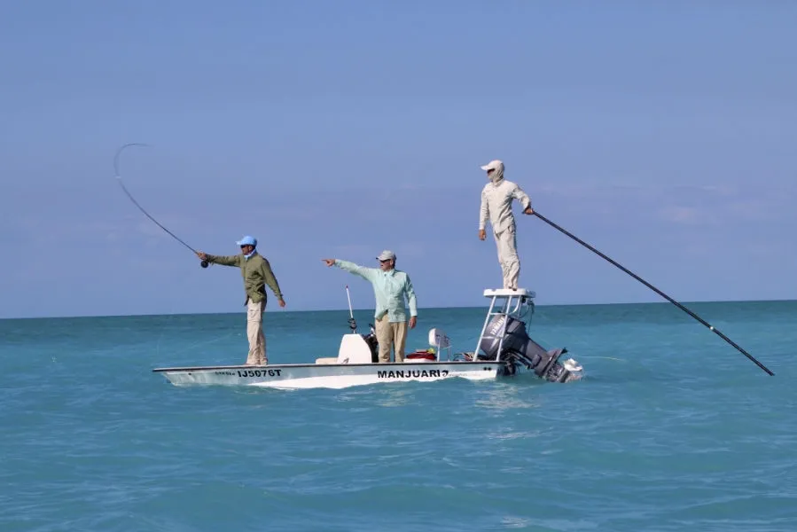 Jardines Avalon II/Jardines Aggressor II