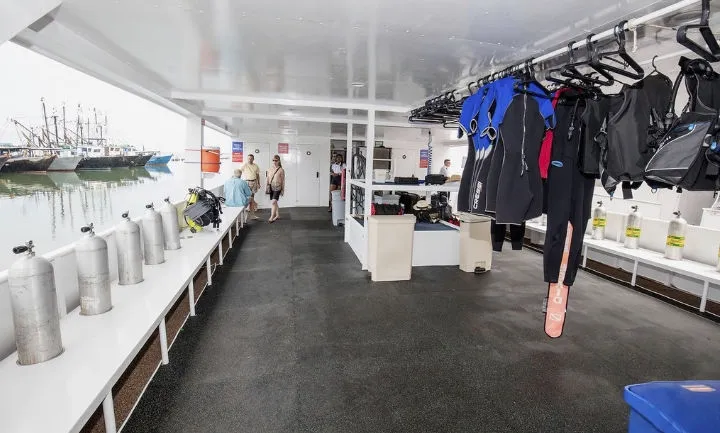 Jardines Avalon II/Jardines Aggressor II