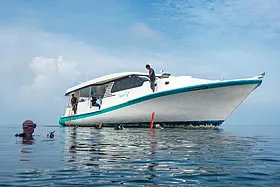 Яхта Leo (Ark Royal), дайв-дони