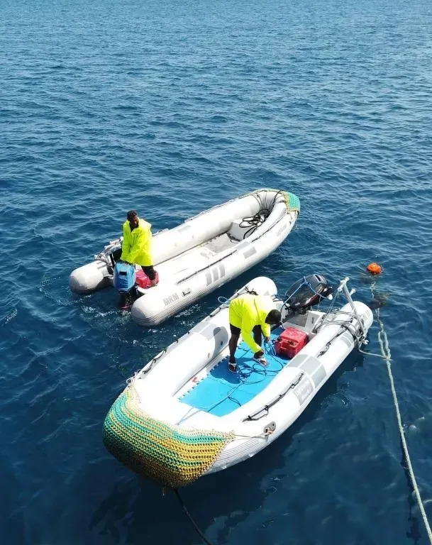 Lighthouse Miracle-1