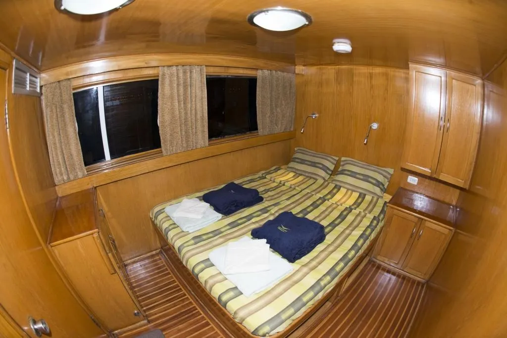 Lighthouse Miracle-1