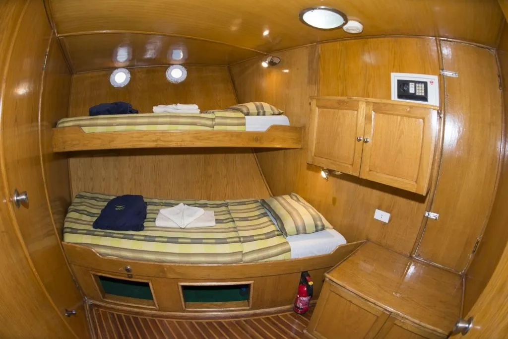 Lighthouse Miracle-1